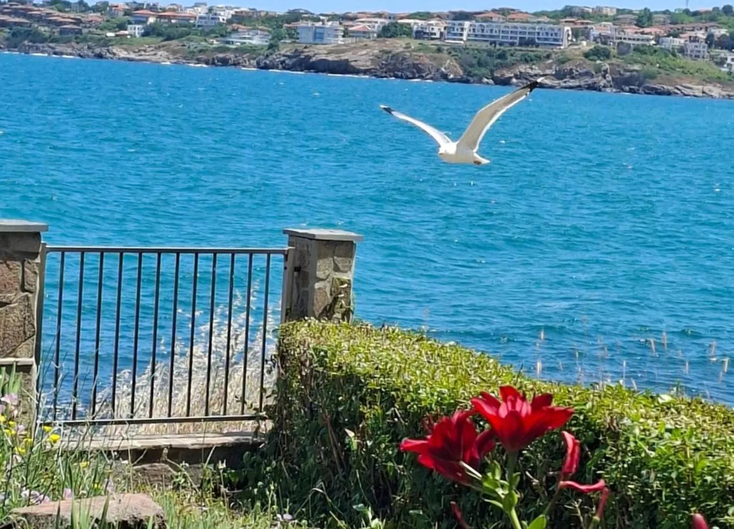 Guest House Skalite Sozopol