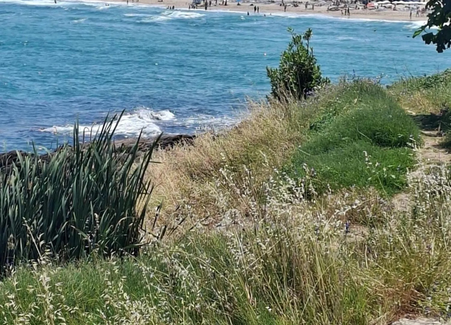 Guest House Skalite Sozopol 3*,